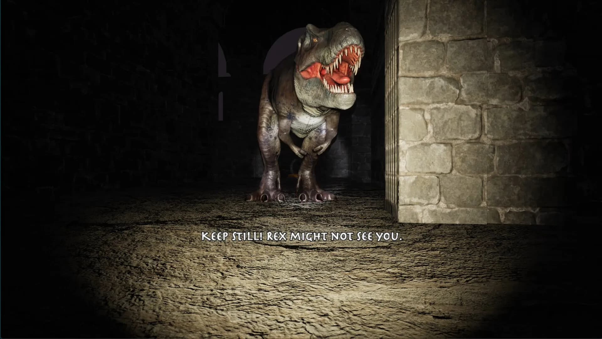 MMM görsel 10