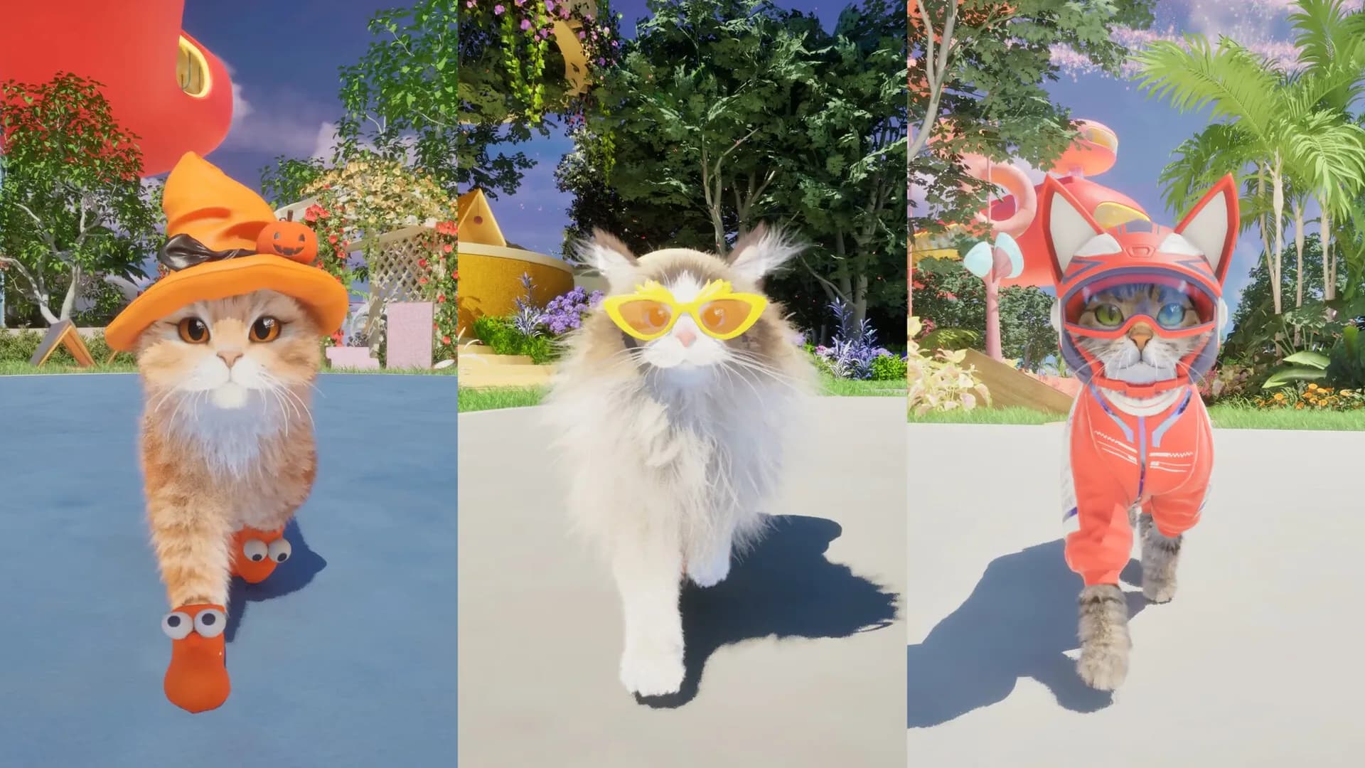 Catly görsel 2