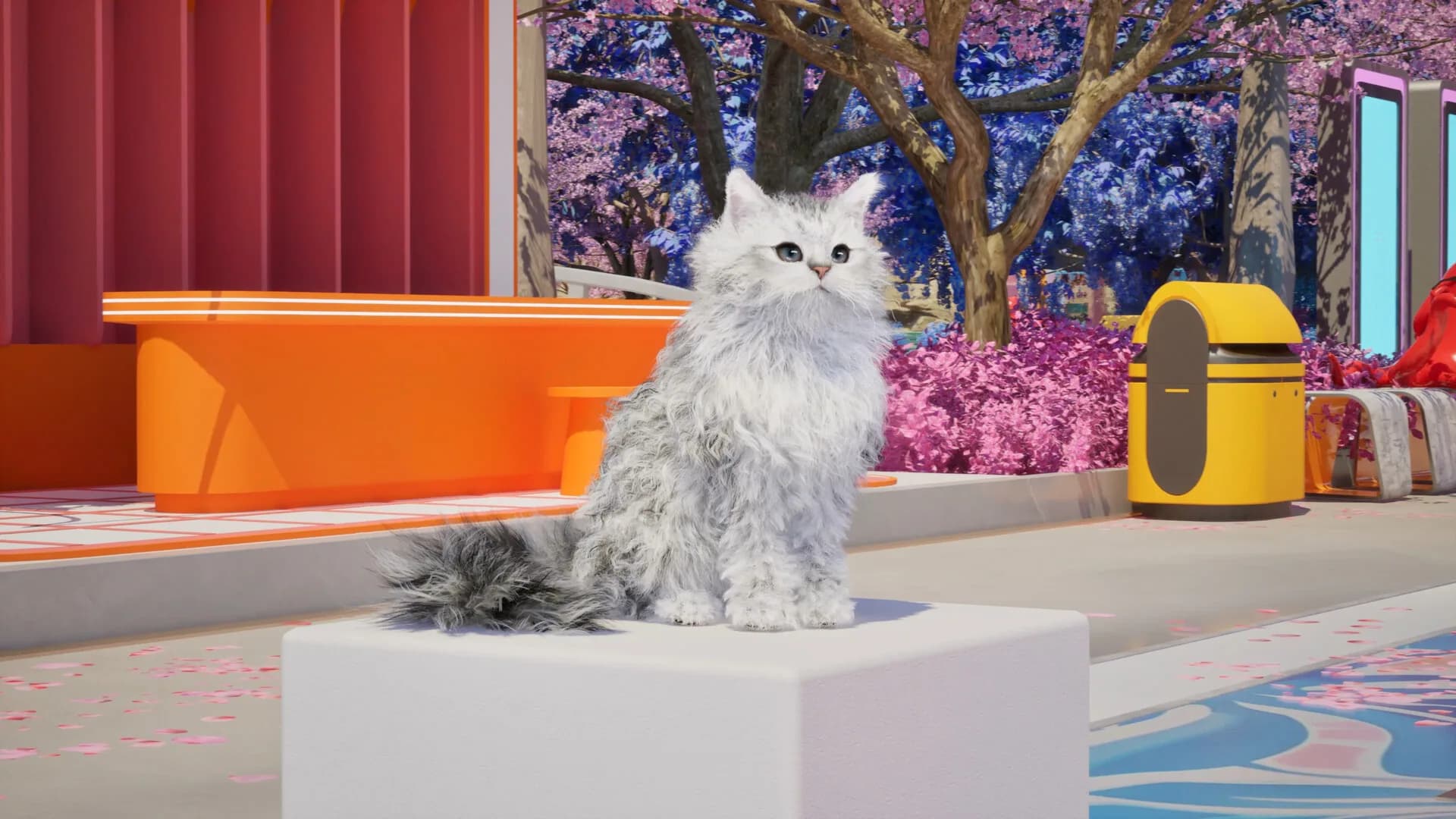 Catly görsel 8