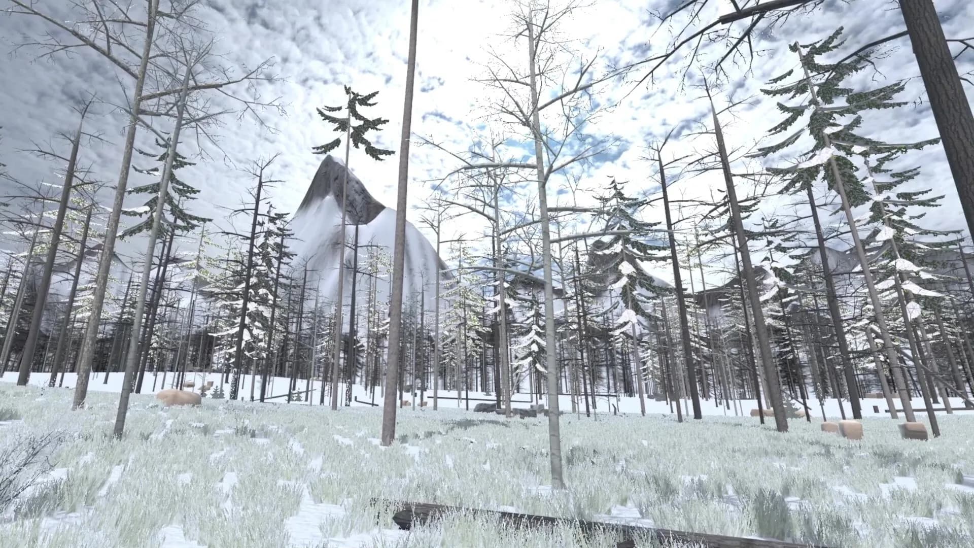 Forest Construction VR görsel 14