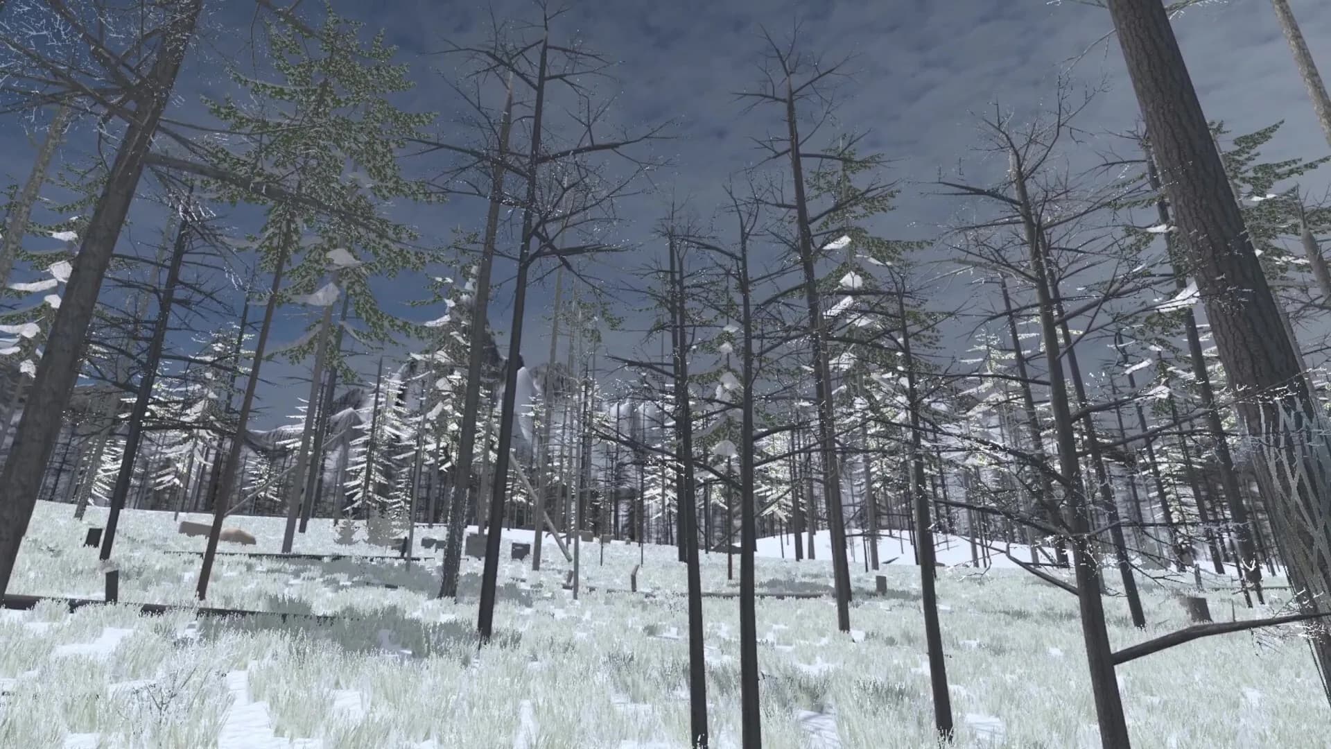Forest Construction VR görsel 11
