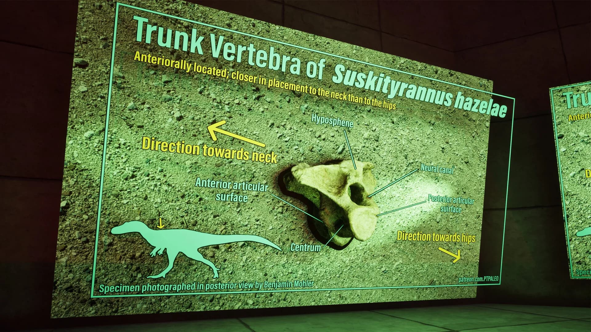 SHADOWBOX: Mausoleum of Natural History görsel 6