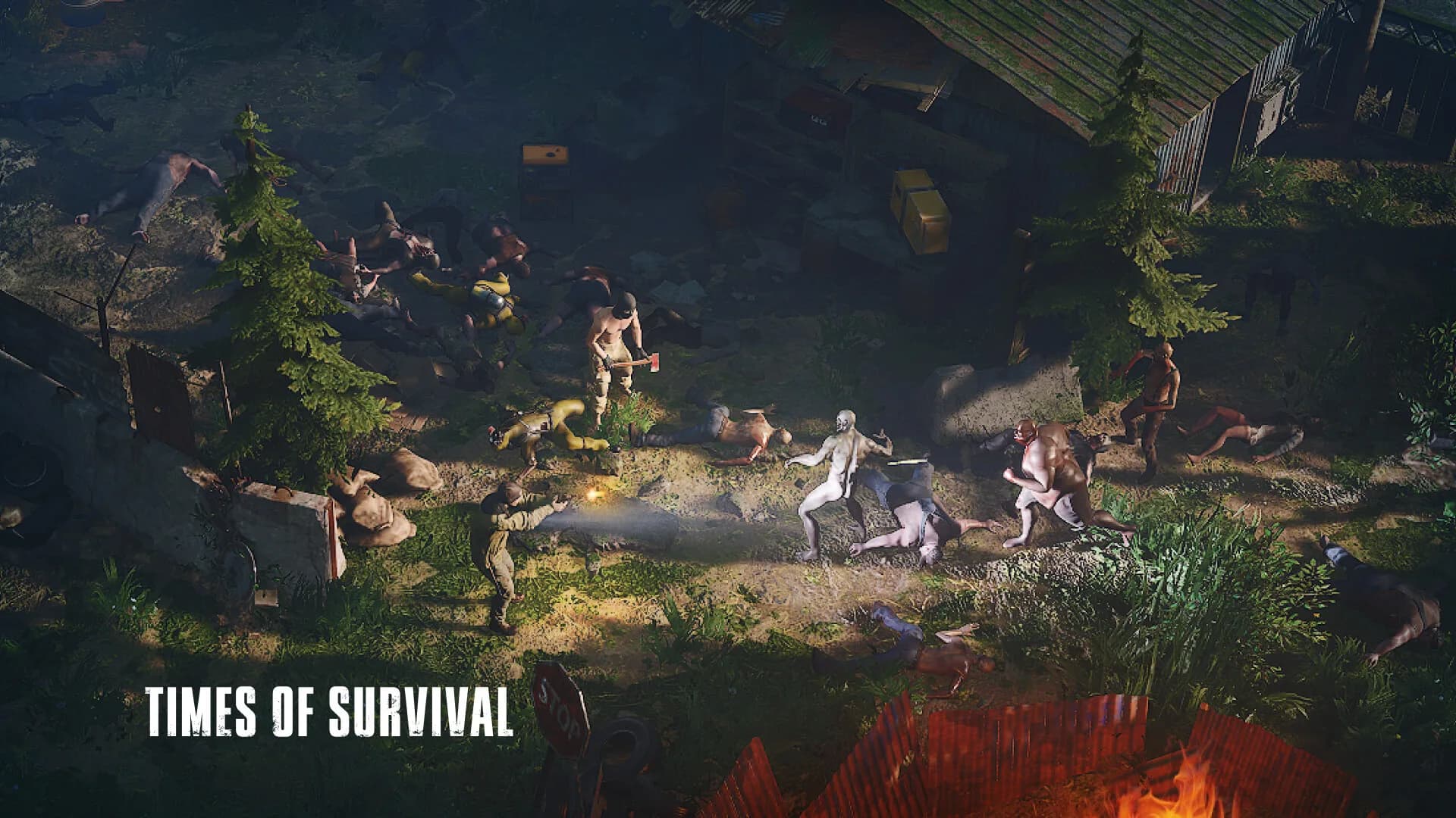 Times of Survival görsel 3