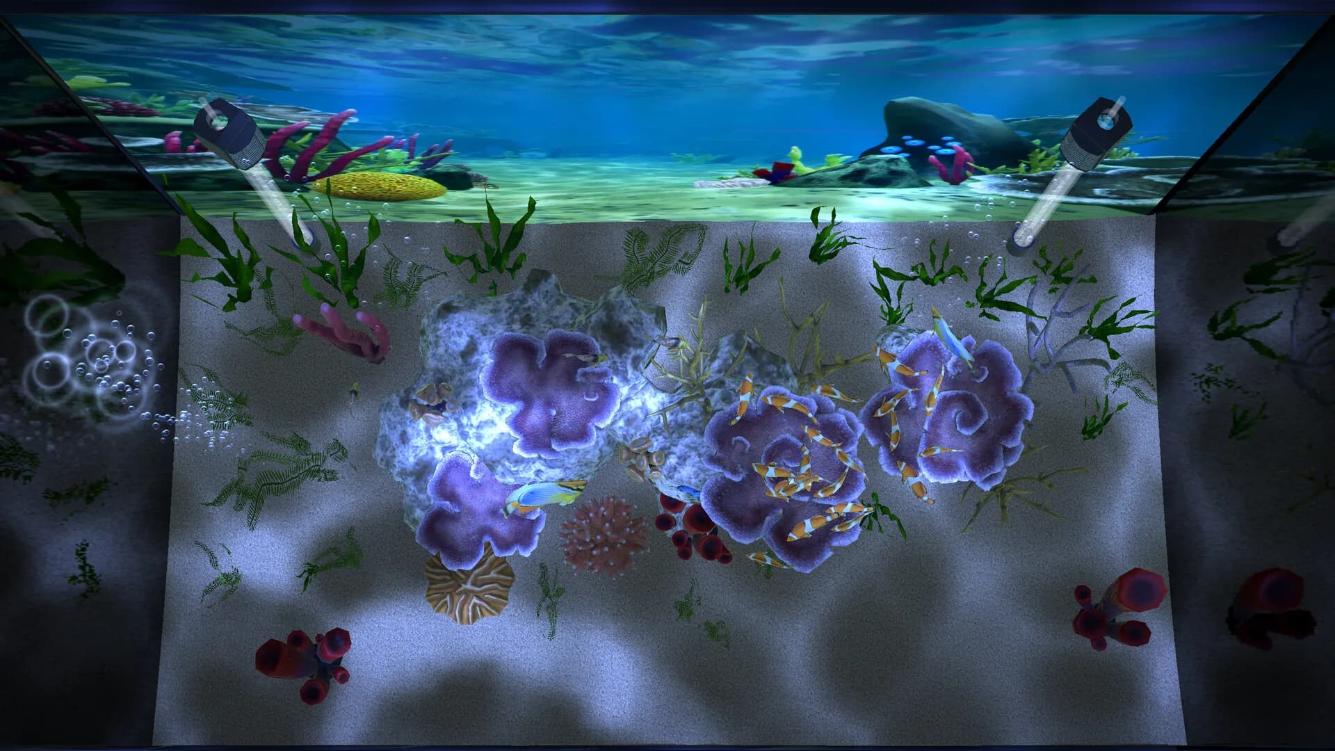 Aqua TV görsel 18