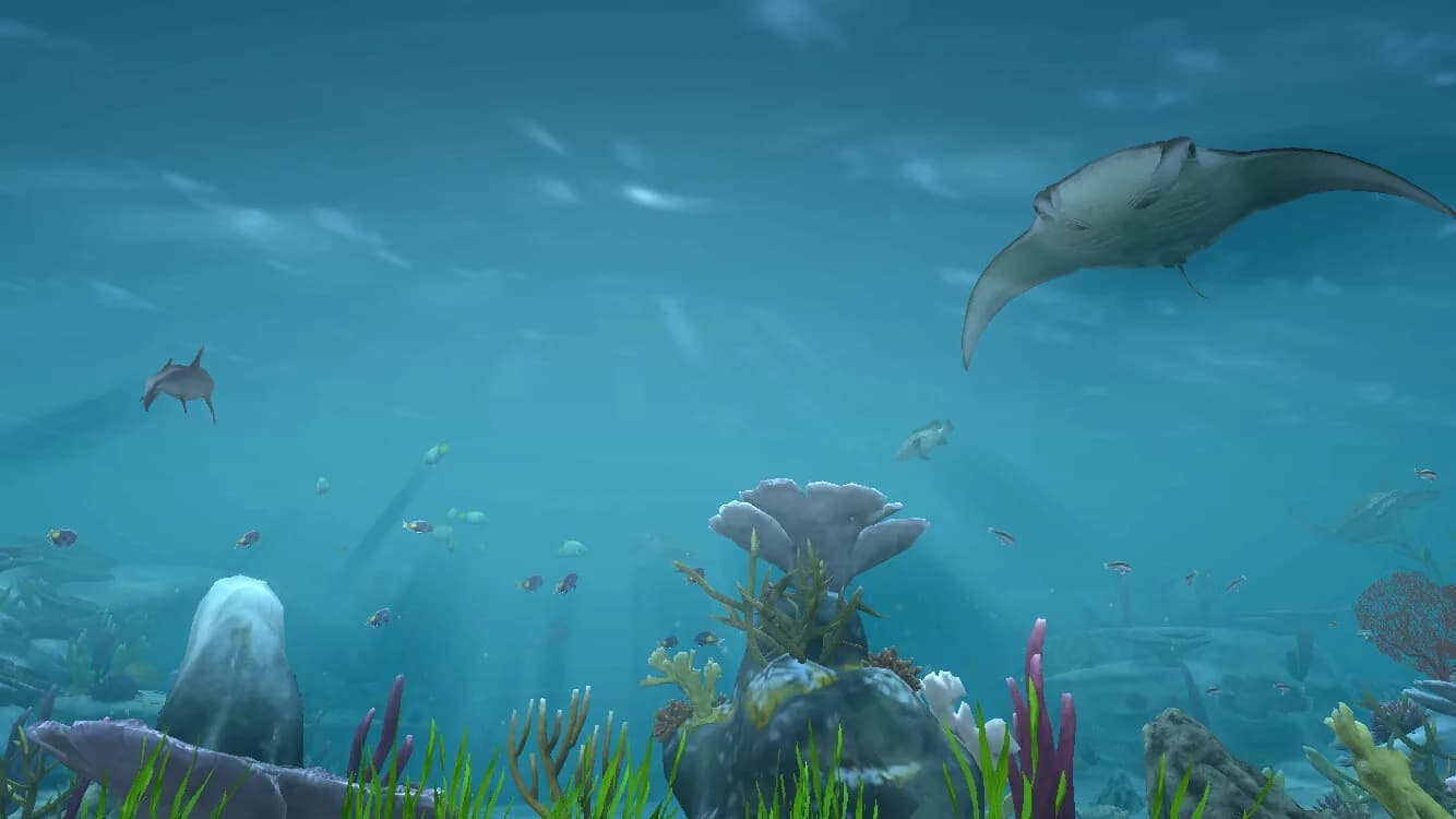 Aqua TV görsel 4