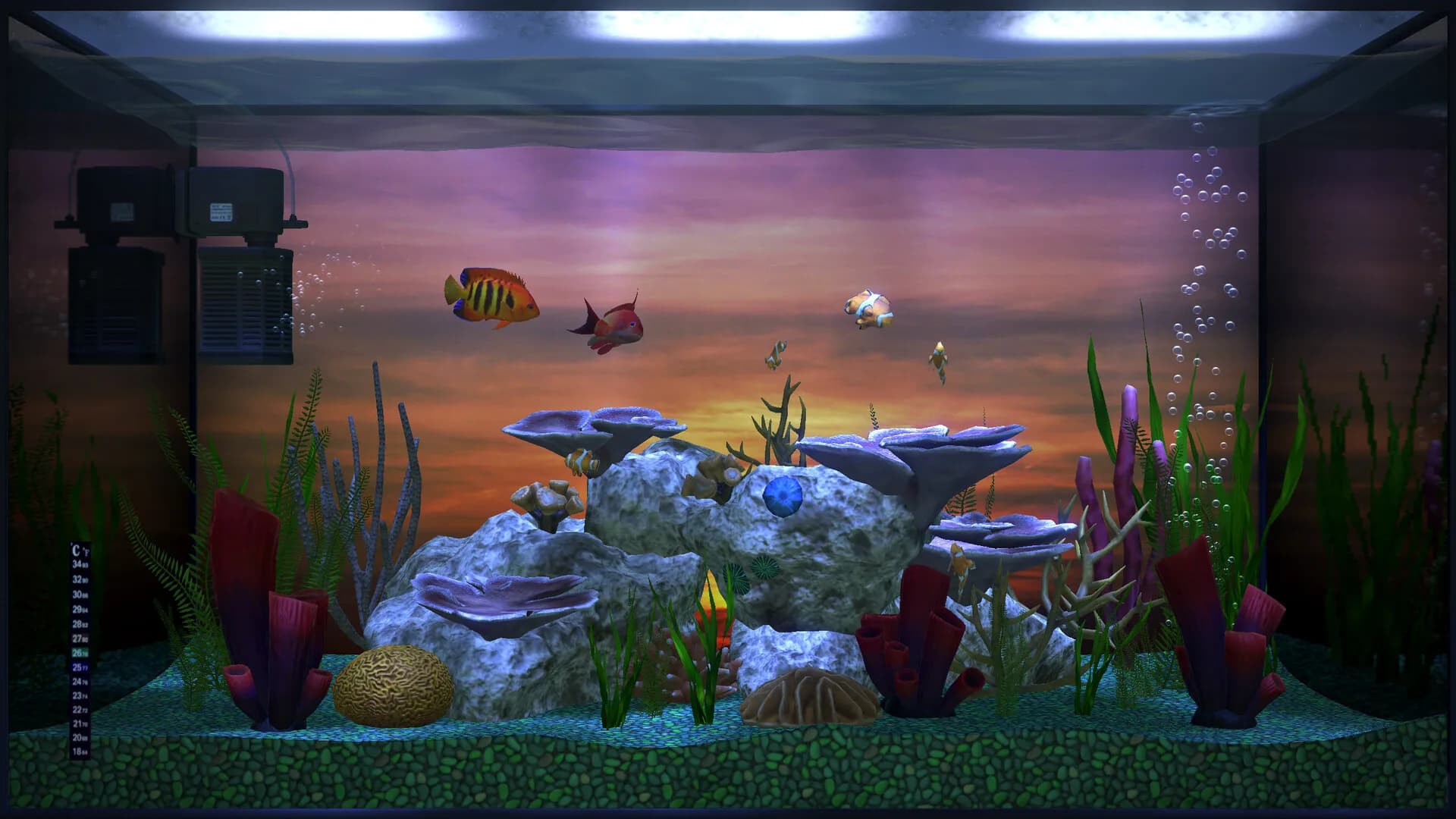 Aqua TV görsel 5