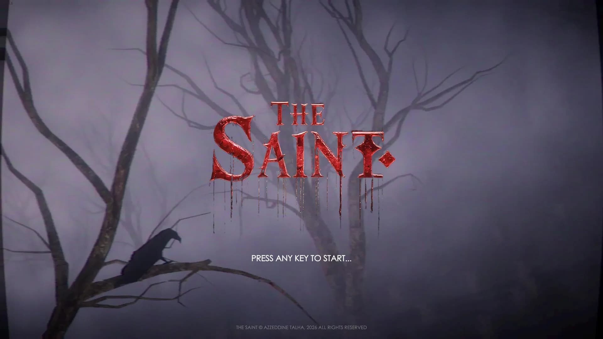 The Saint görsel 2