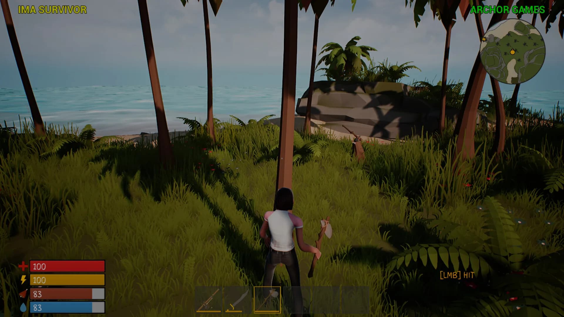 IMA SURVIVOR görsel 2