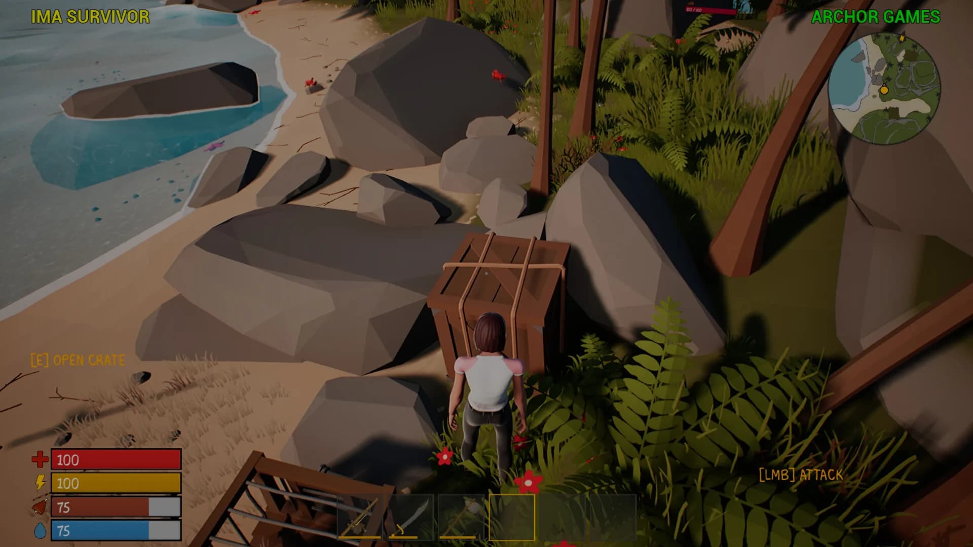 IMA SURVIVOR görsel 6