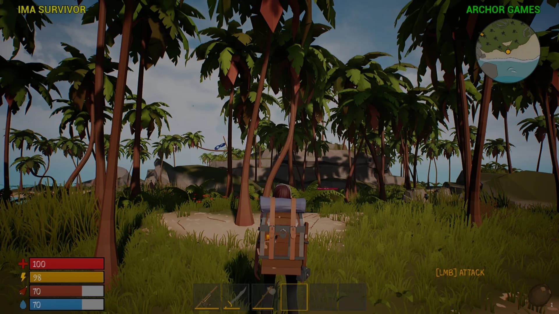 IMA SURVIVOR görsel 7