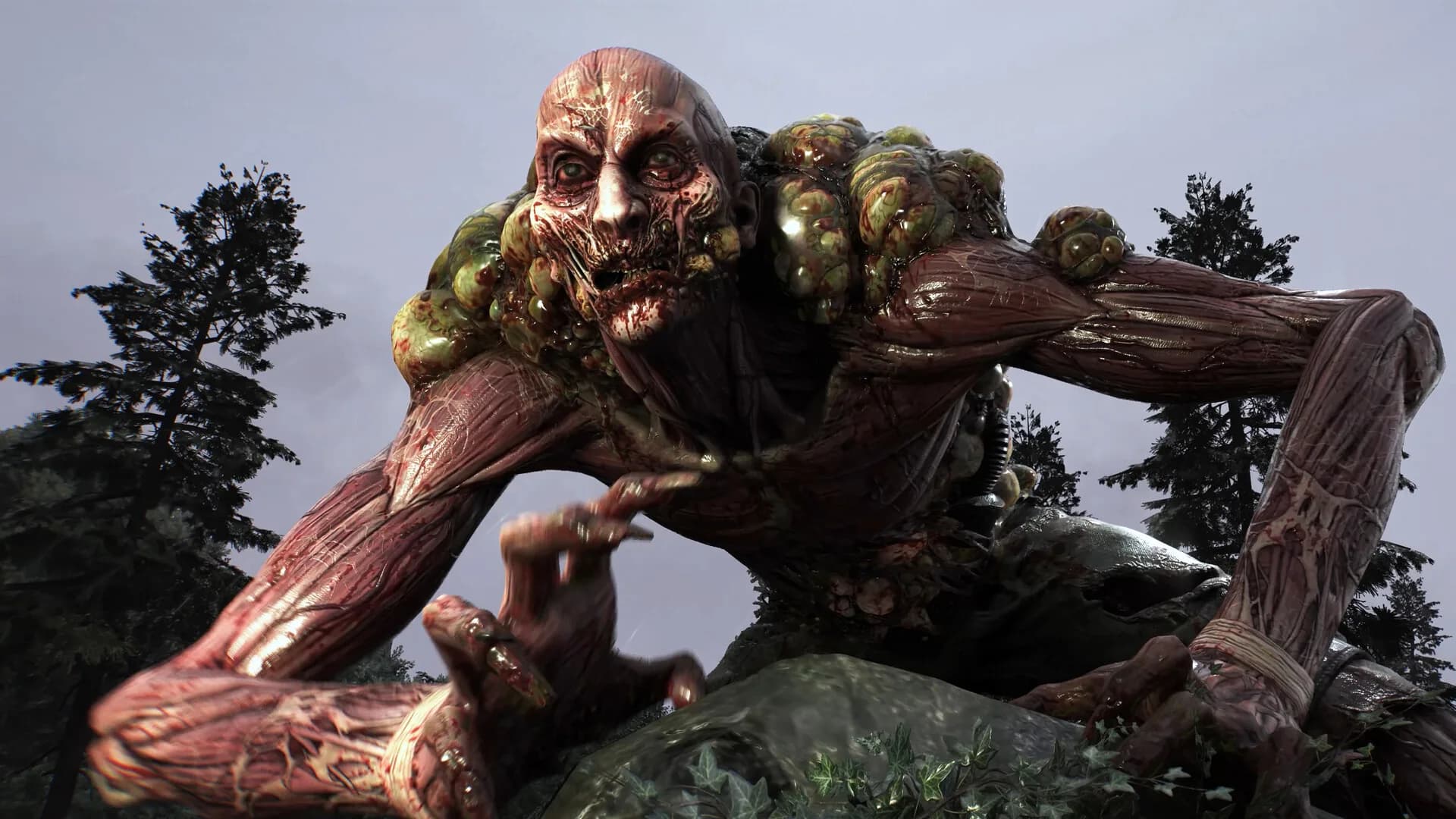 Dying Light: The Beast görsel 5