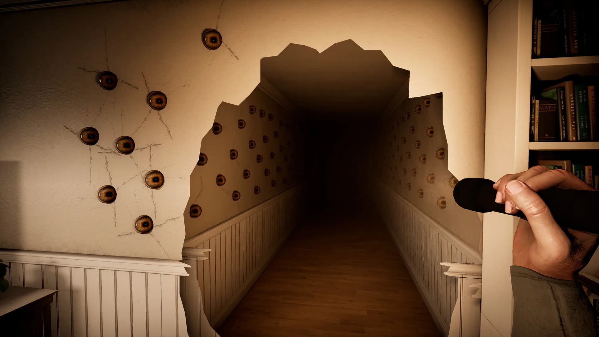 Scotophobia görsel 5