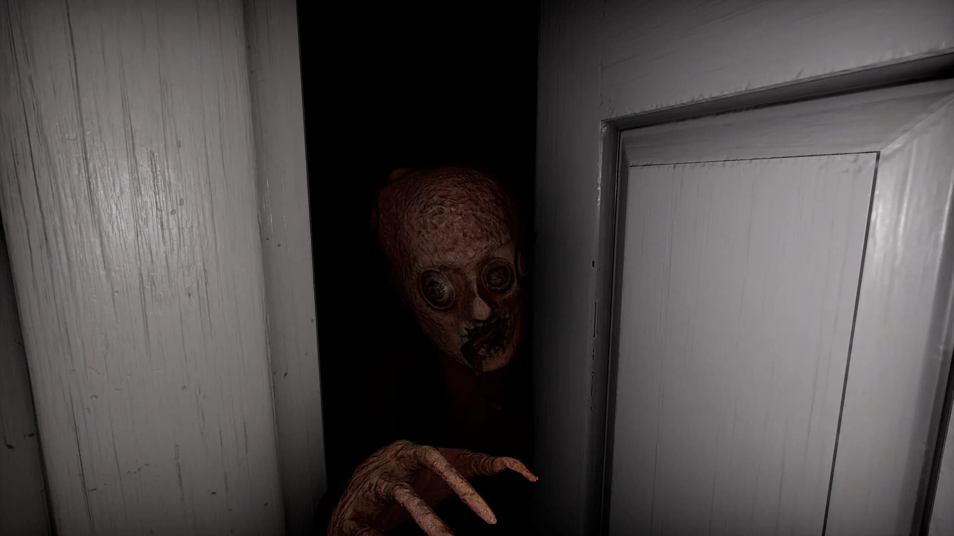 Scotophobia görsel 6