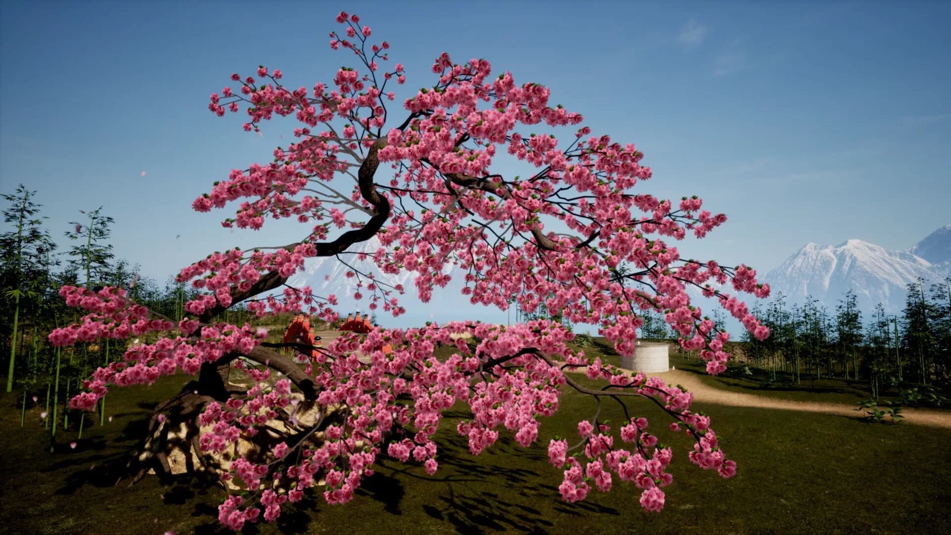 Arbor Island görsel 2