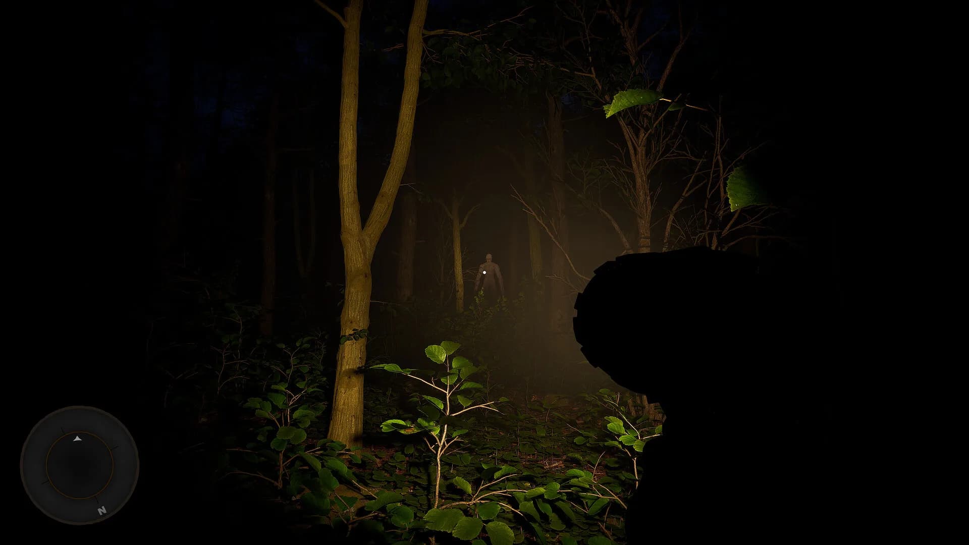 Nightwalk Simulator görsel 12