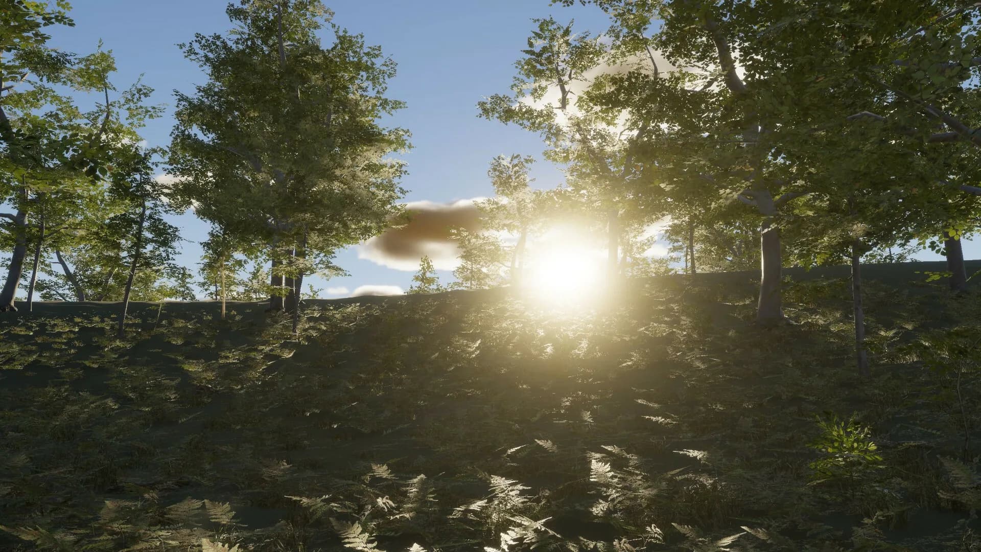 Fishing Grind görsel 5