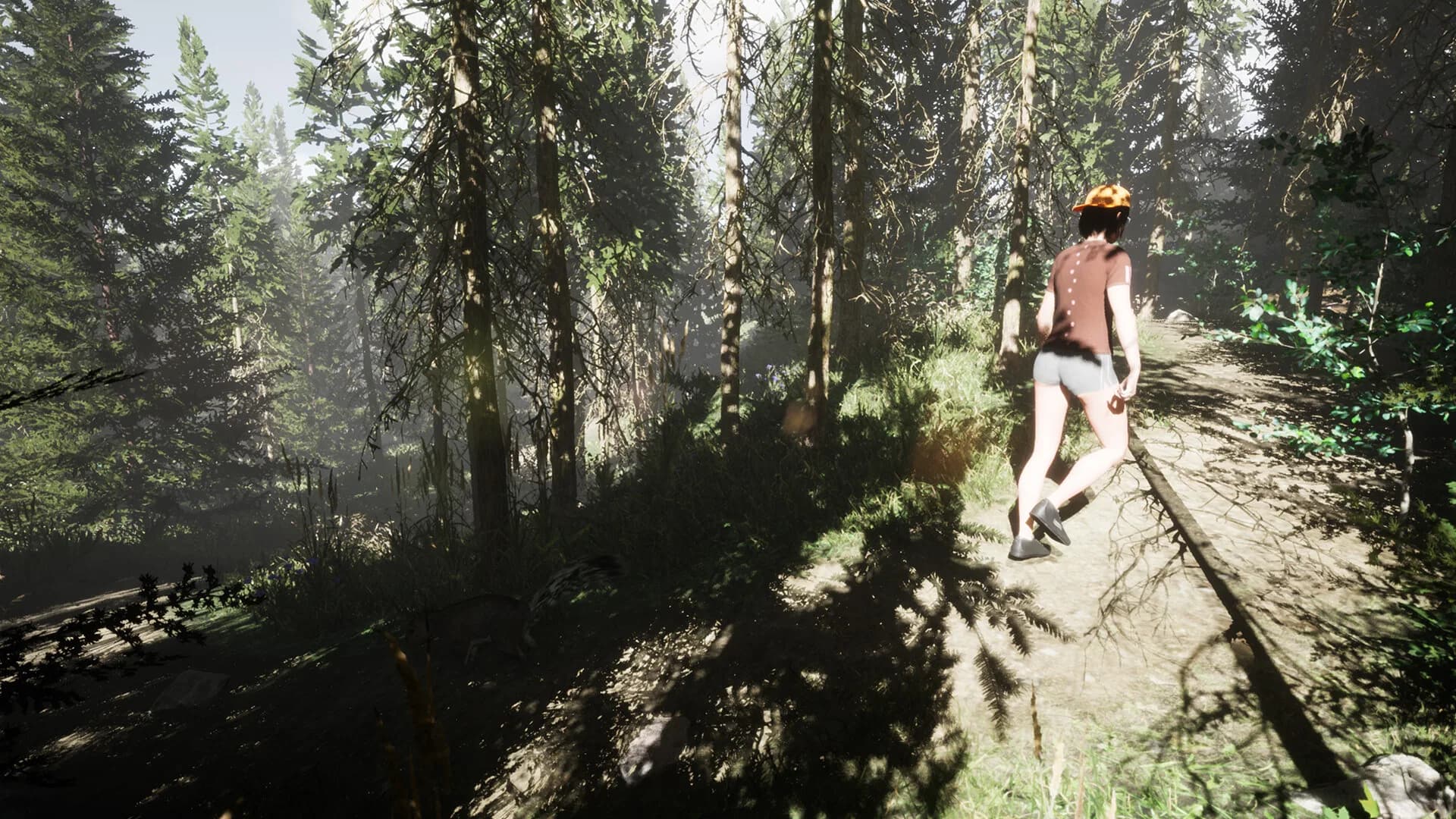Wild Encounters - Cedar Woods Campground görsel 12