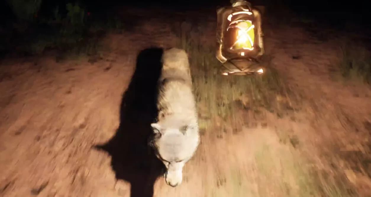 The Curse of Town görsel 4