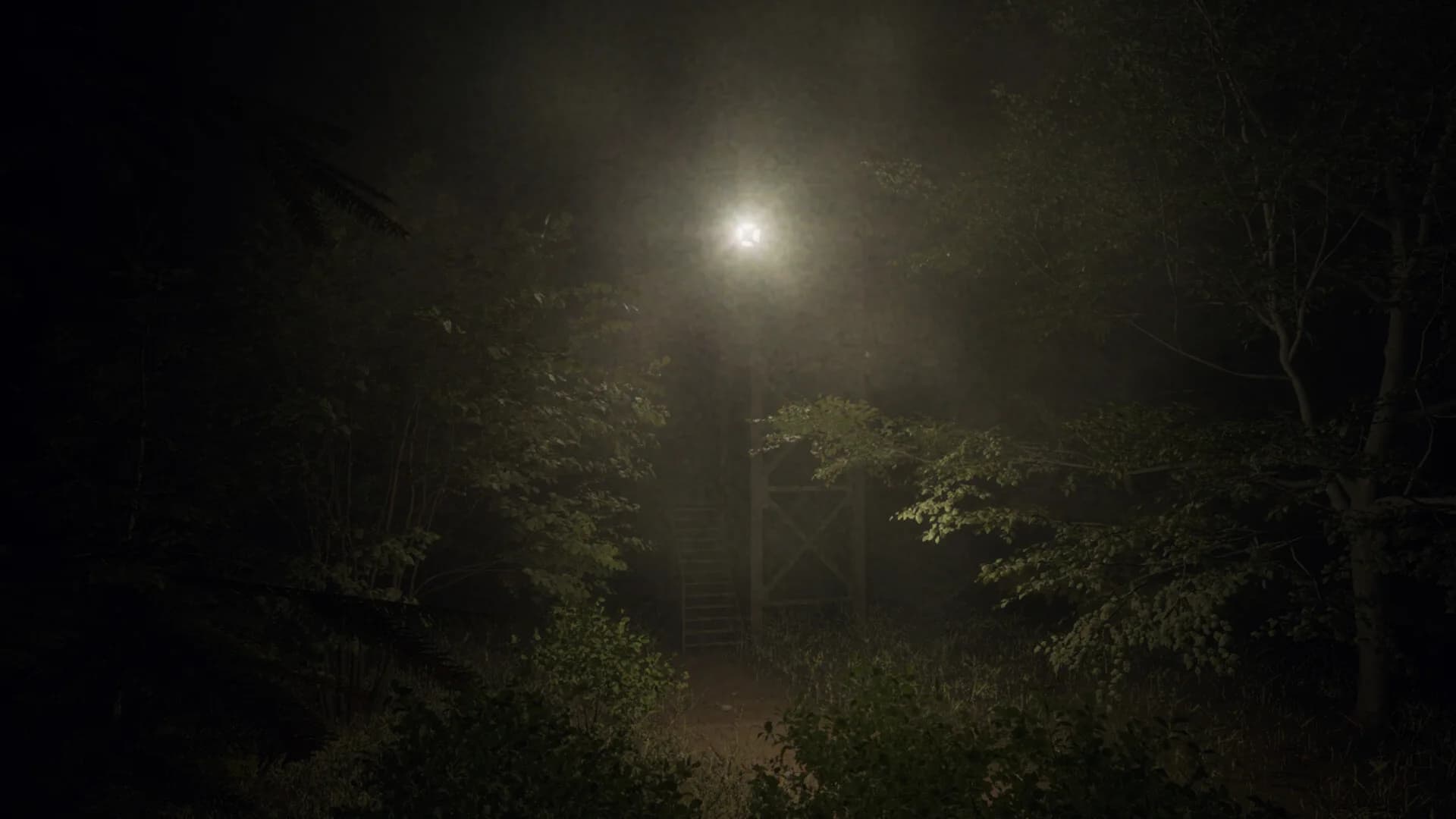 Slenderman: Shadow of the Forest görsel 7