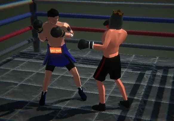 Influencer Boxing görsel 2