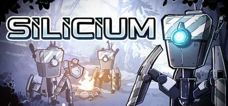 Silicium