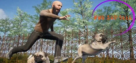 Pug and Seek görsel 1