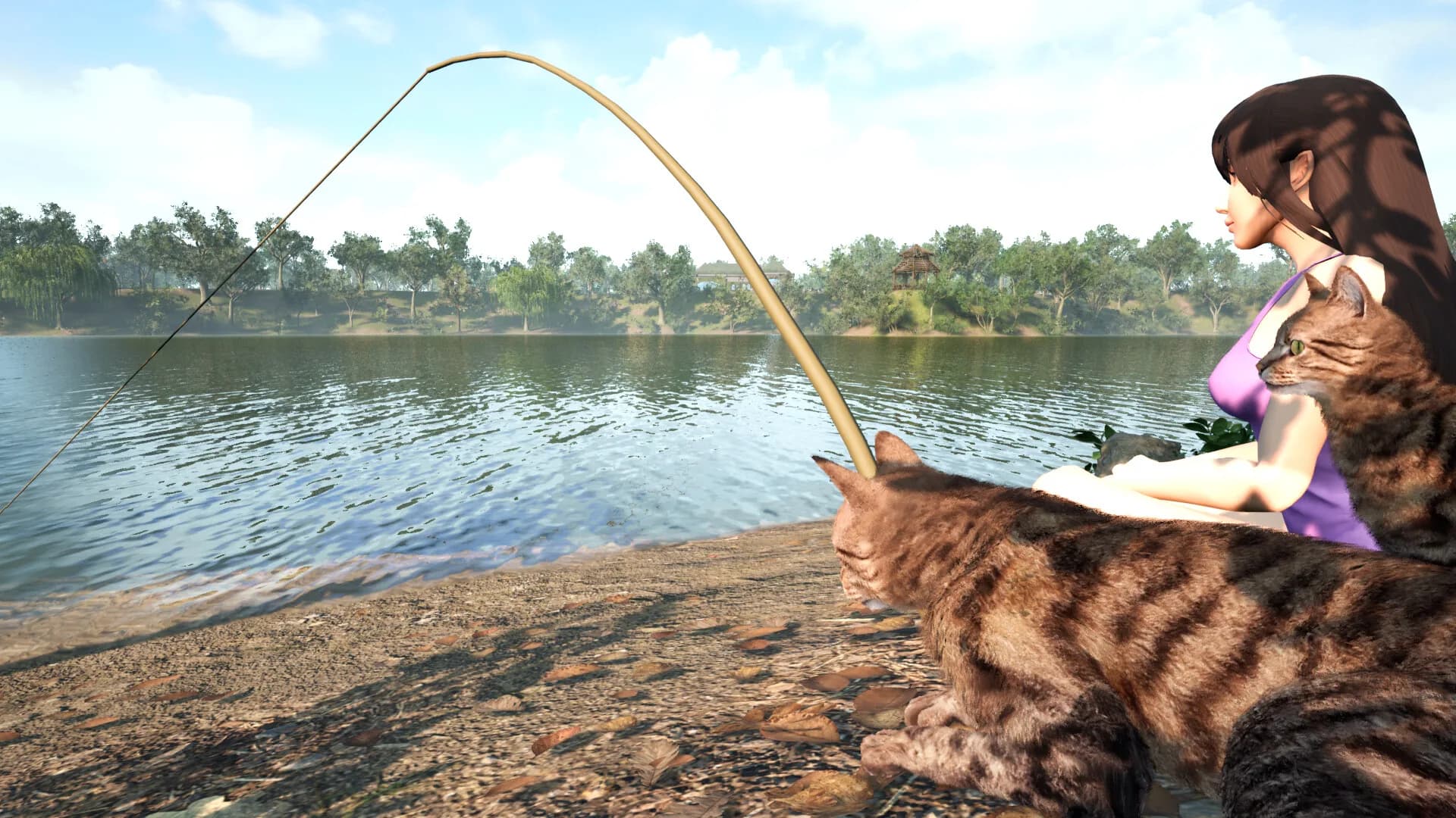 Fishing for cats görsel 2