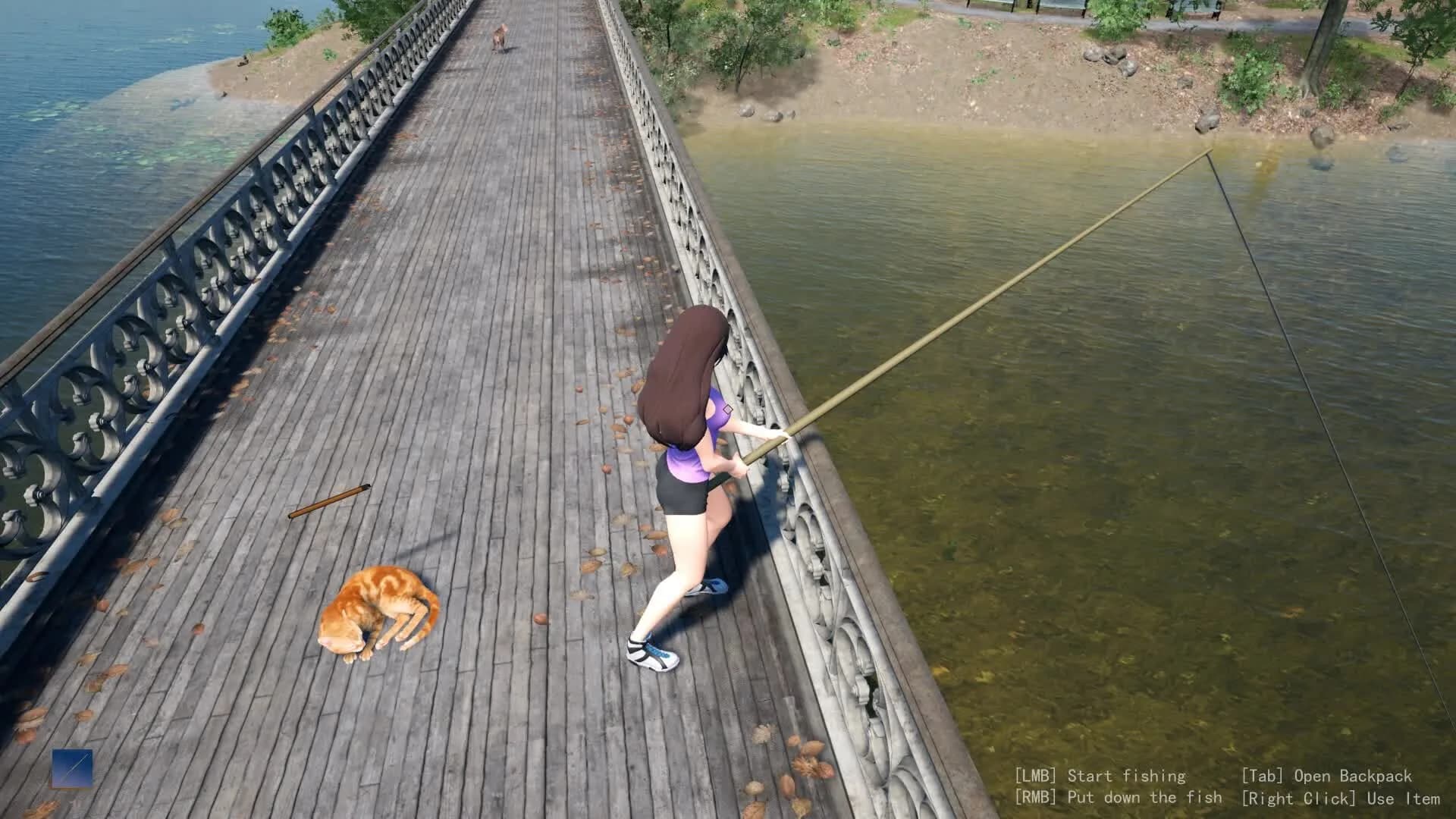 Fishing for cats görsel 4