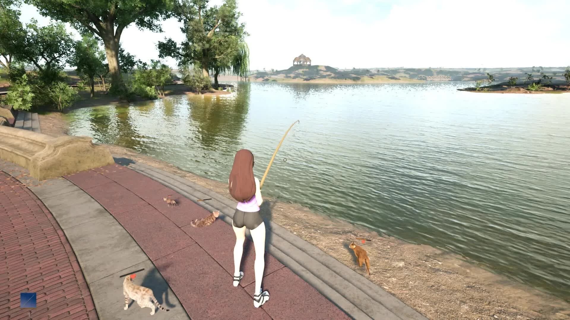 Fishing for cats görsel 6