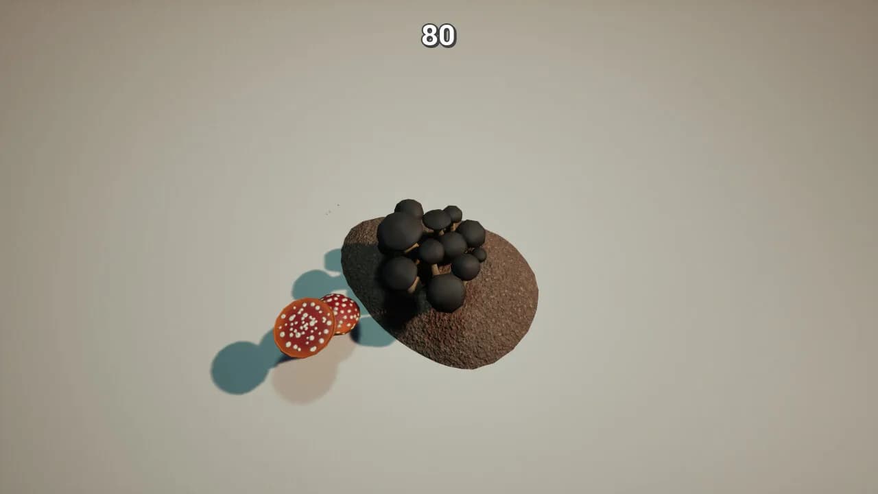 Mushroom görsel 5