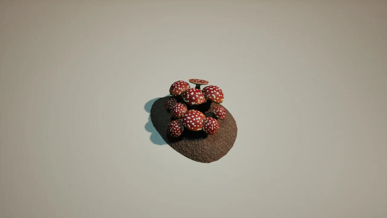 Mushroom görsel 8