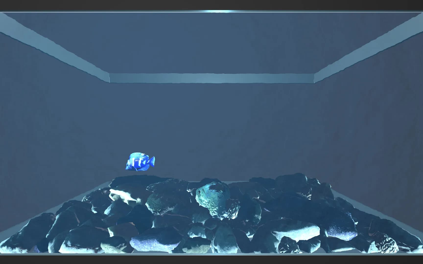 Aquario görsel 2