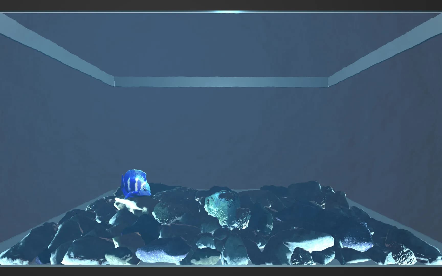 Aquario görsel 3