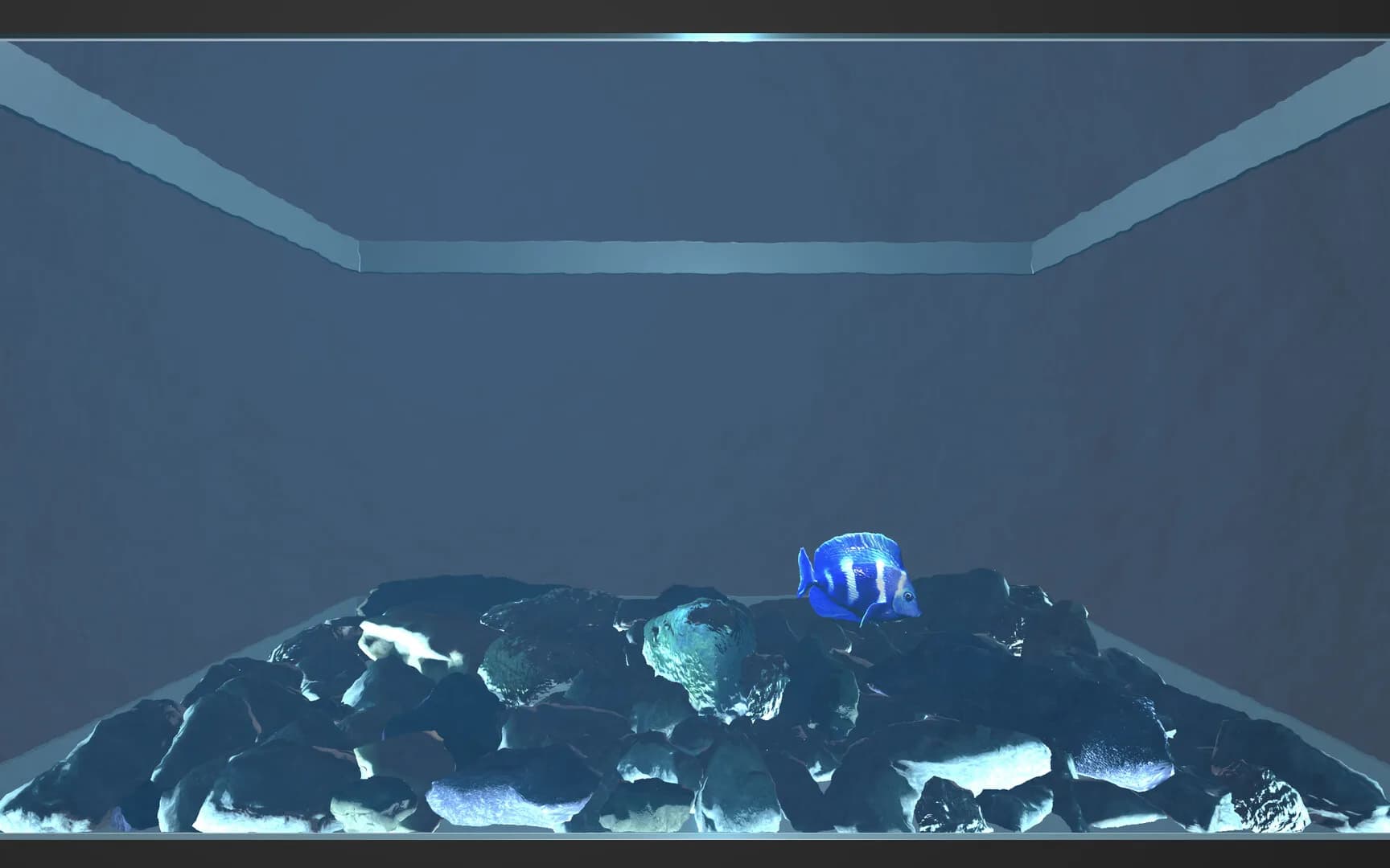 Aquario görsel 4