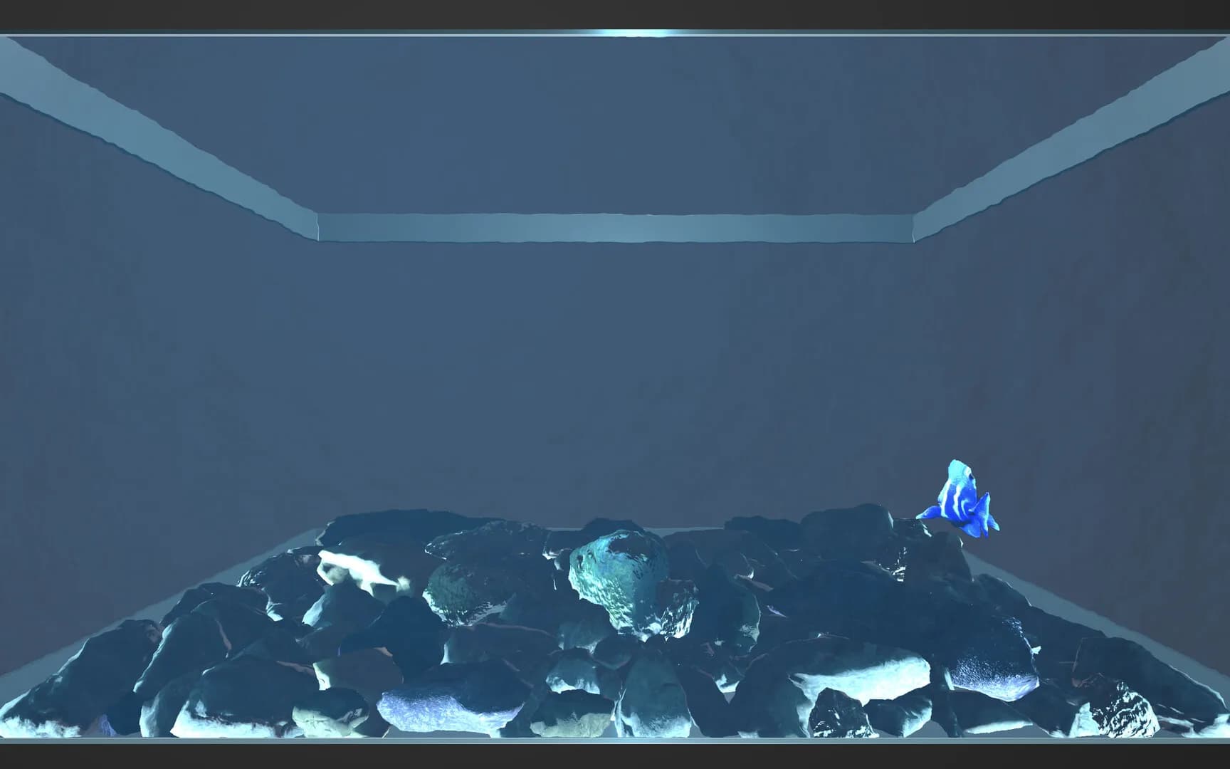Aquario görsel 5