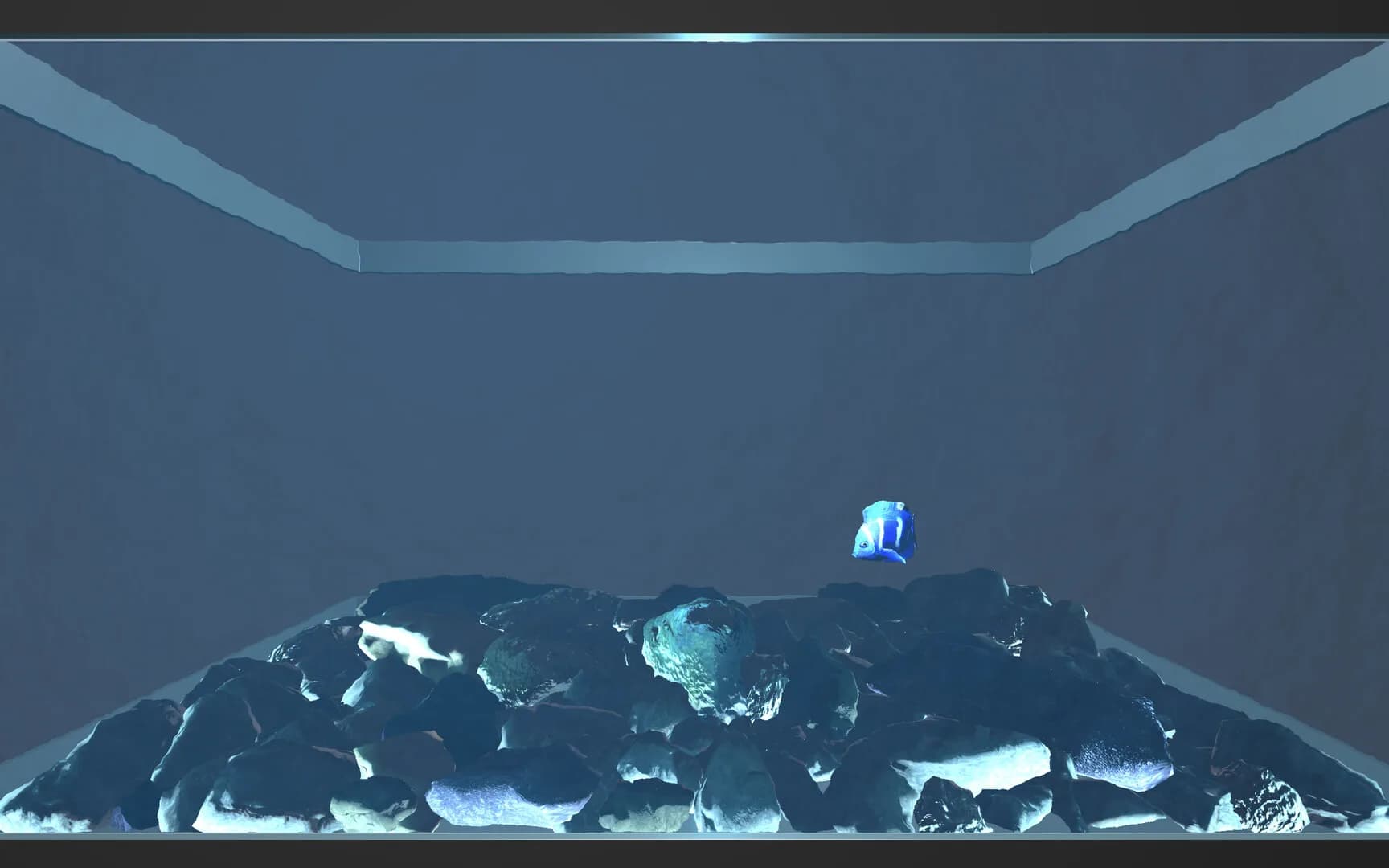 Aquario görsel 6