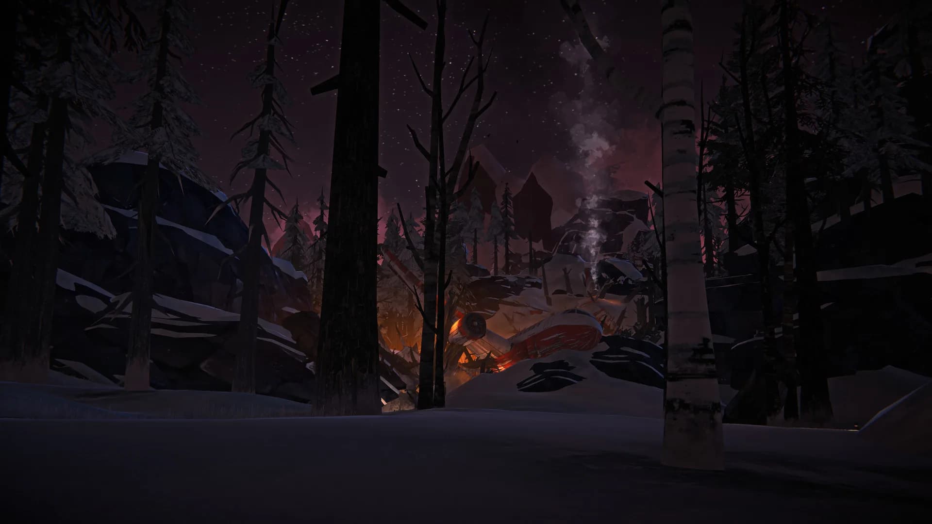 The Long Dark görsel 22