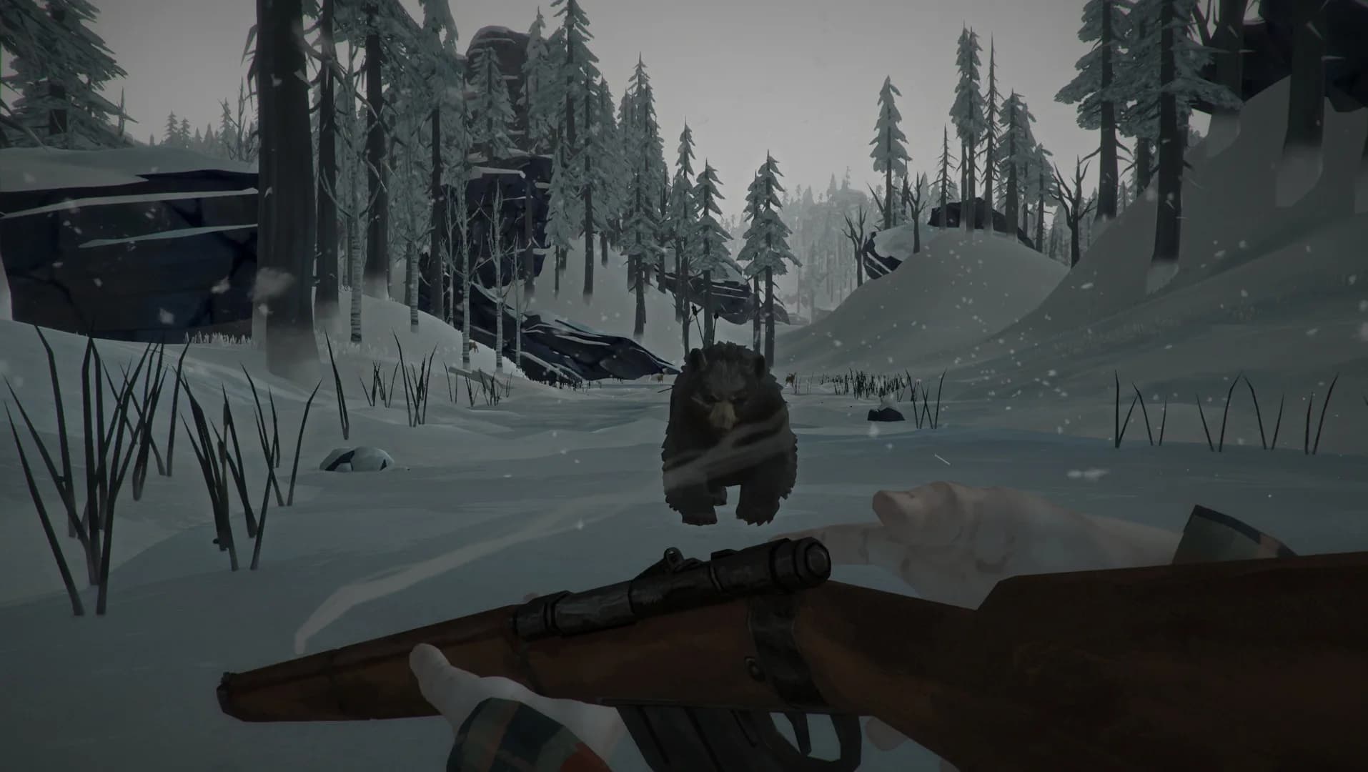 The Long Dark görsel 5