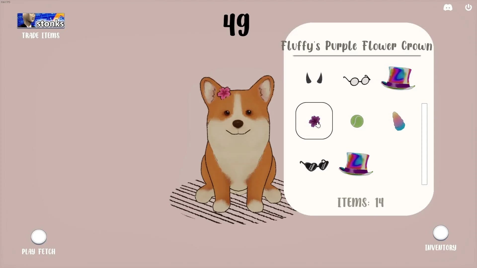 DOG görsel 2