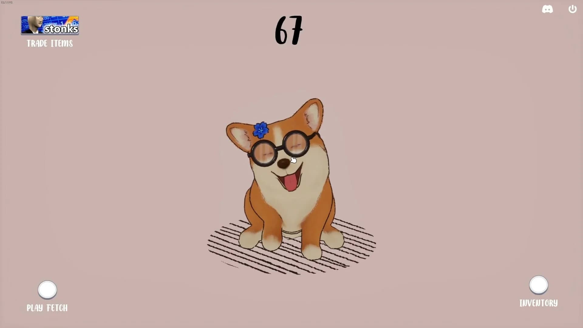 DOG görsel 5