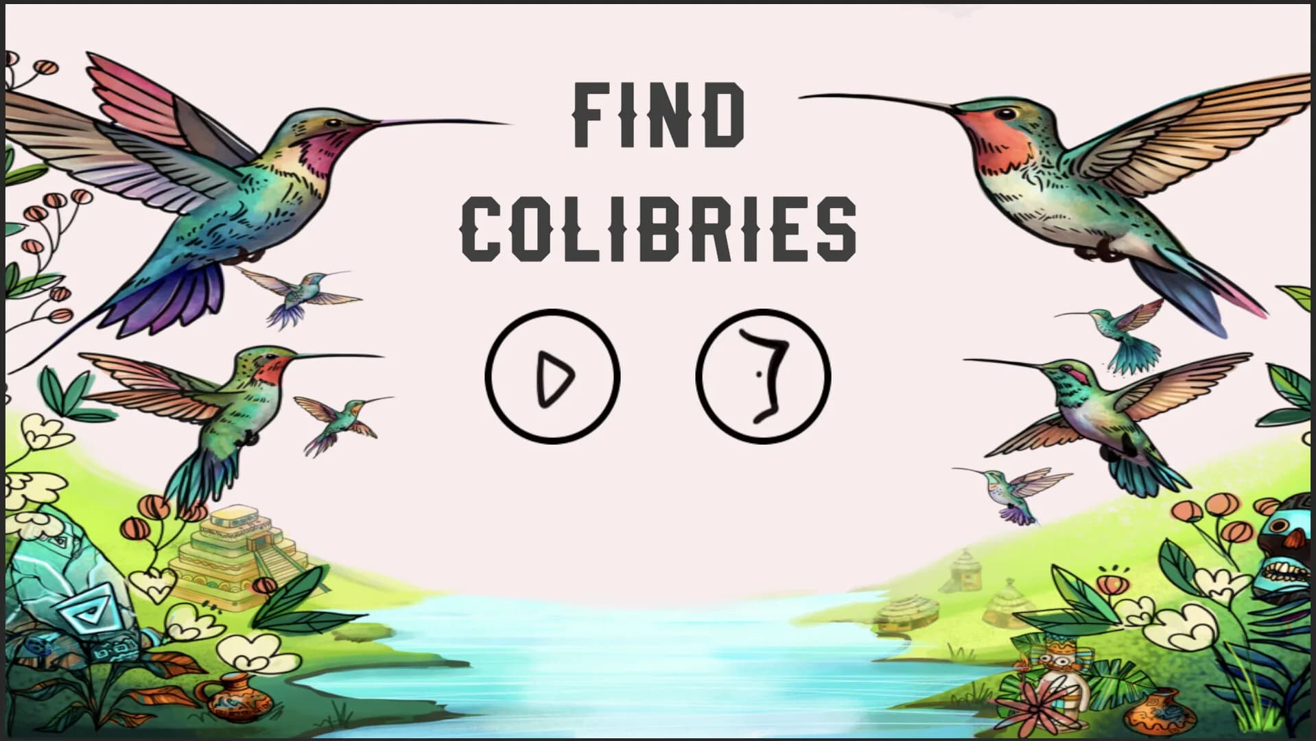 Find Colibries görsel 2