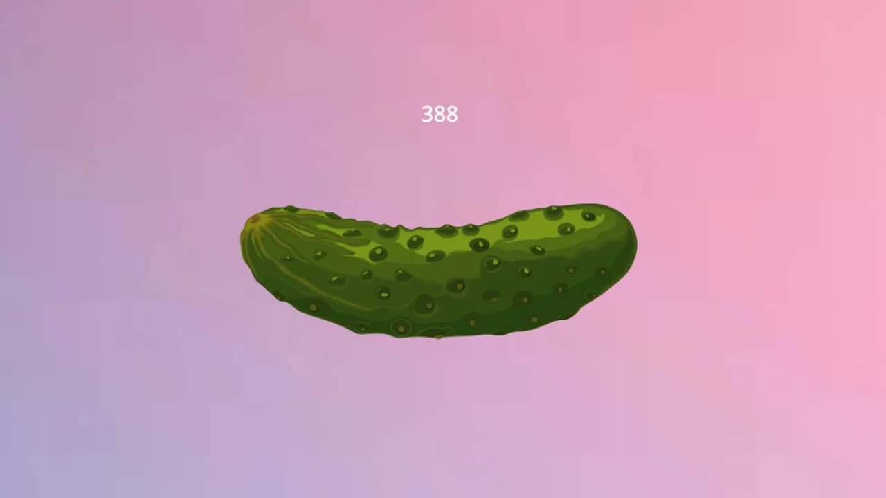 Pickle görsel 2