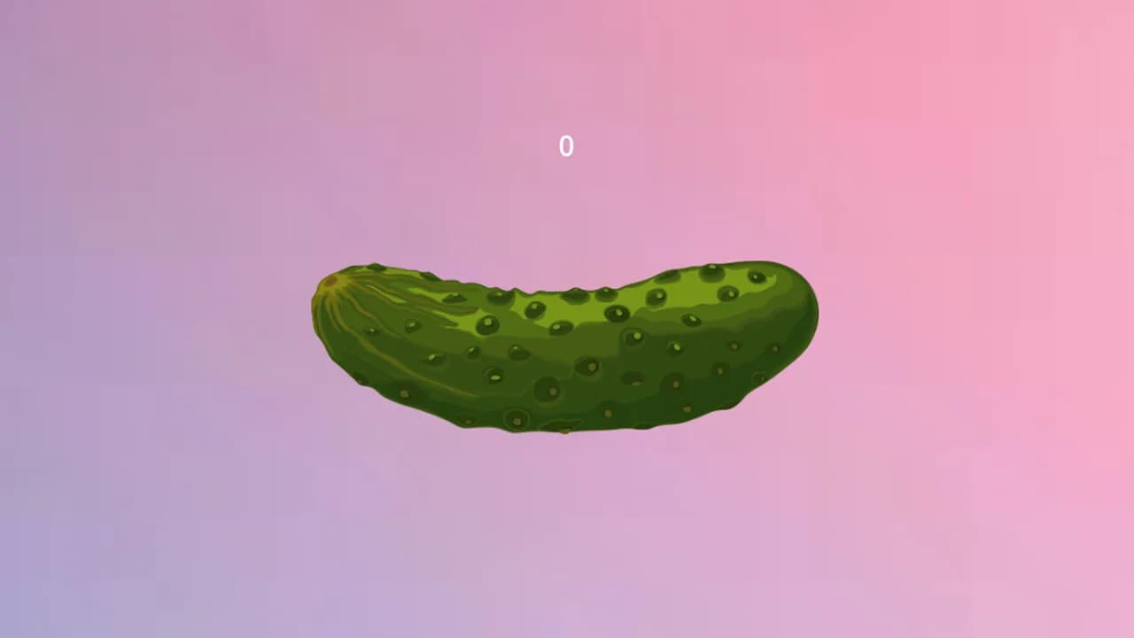 Pickle görsel 3