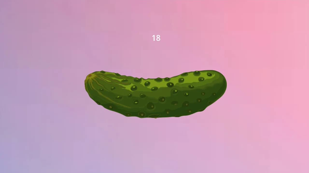 Pickle görsel 4