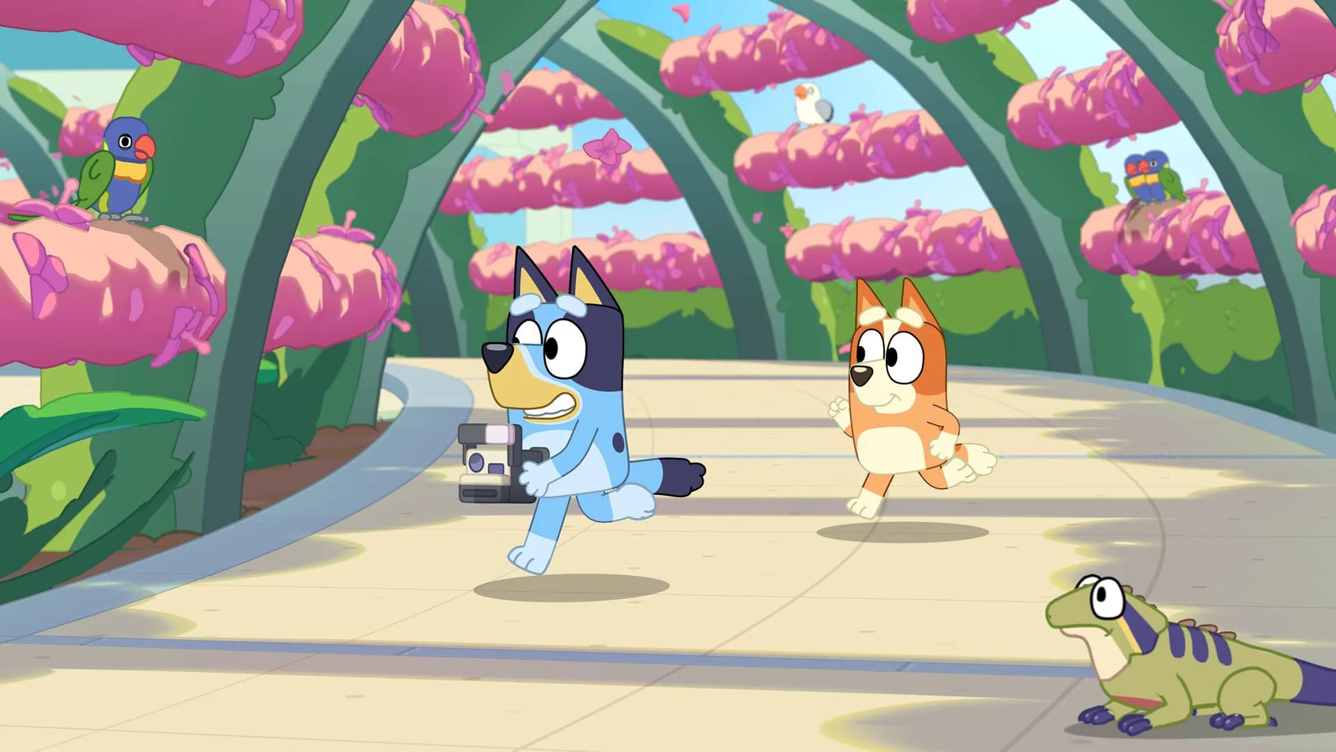 Bluey's Happy Snaps görsel 5