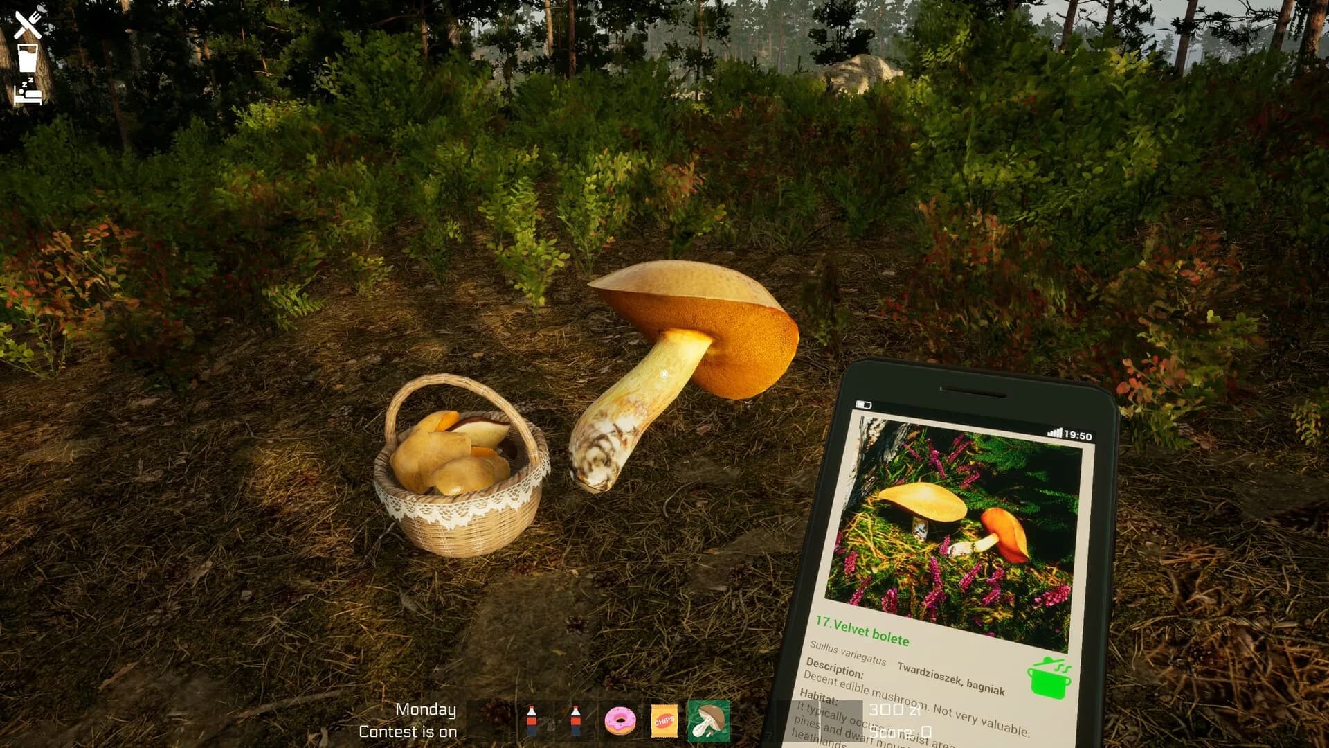 Mushroom Season görsel 4