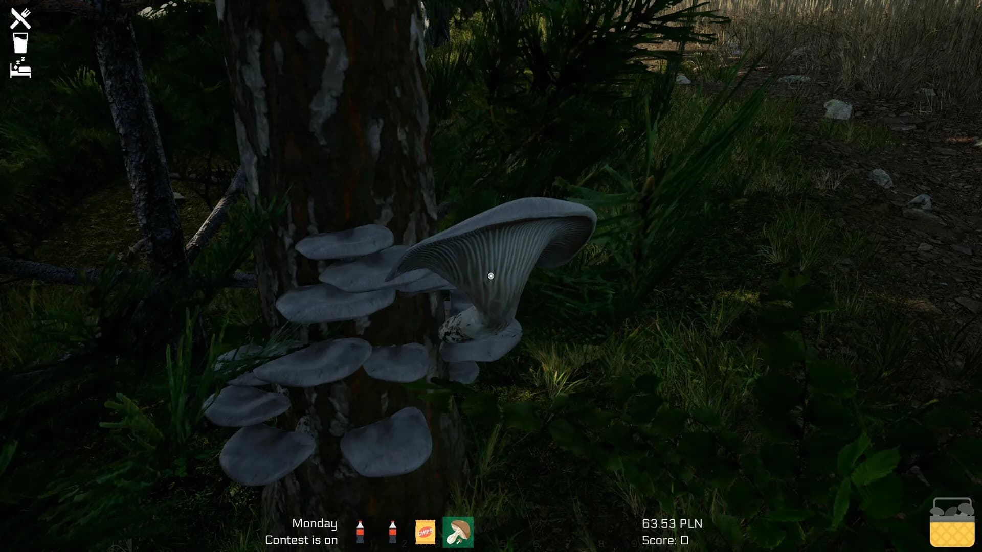 Mushroom Season görsel 22