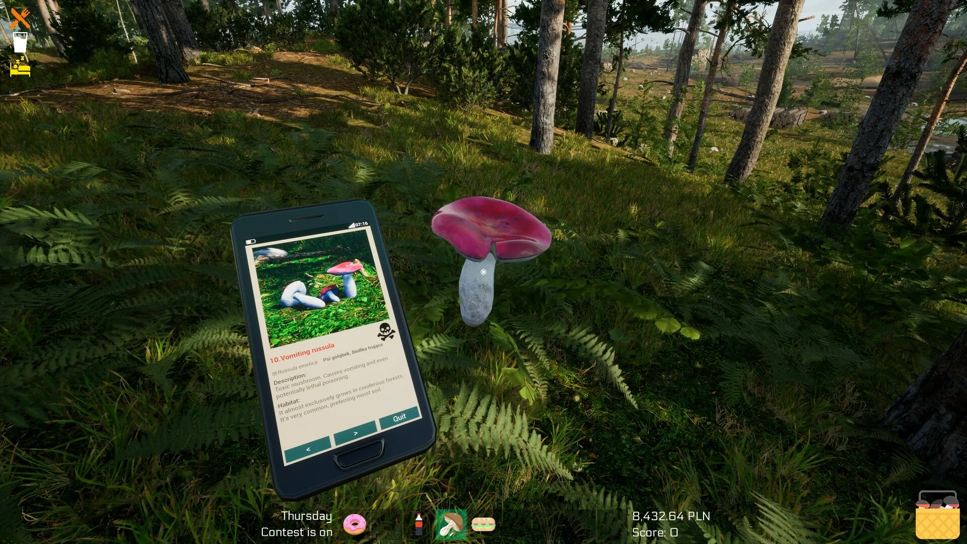 Mushroom Season görsel 32