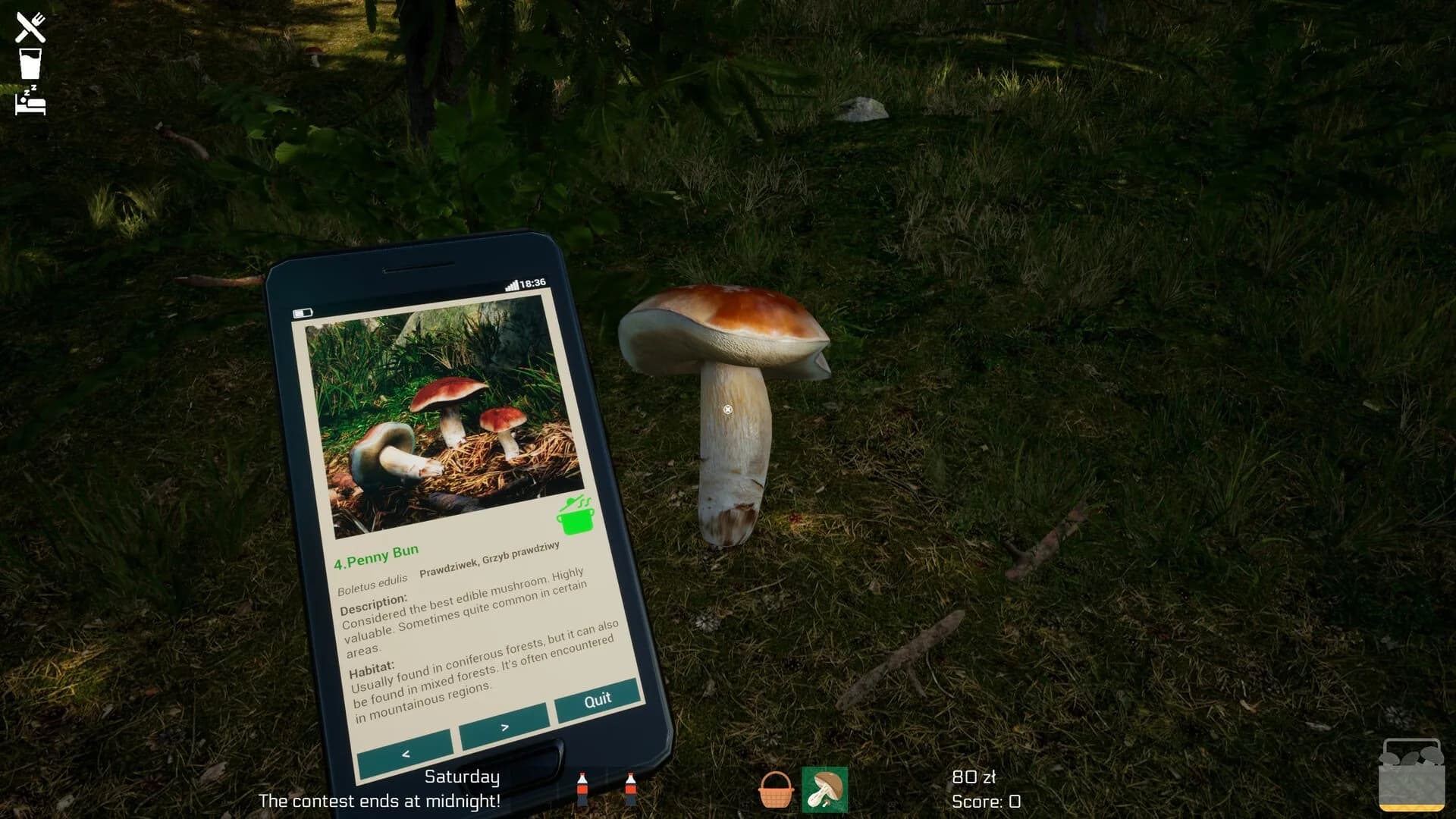 Mushroom Season görsel 39