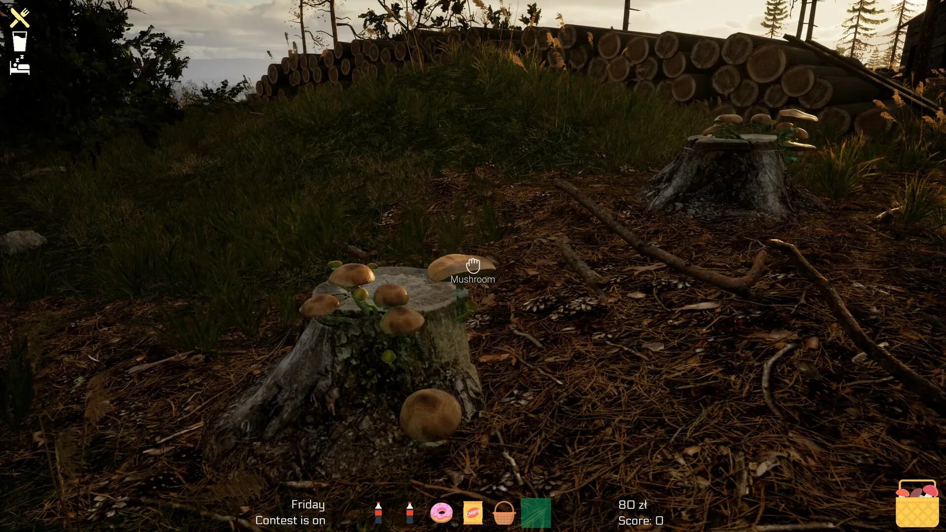 Mushroom Season görsel 44